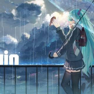 Anime rain girl umbrella wallpaper
