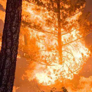 Fire phone wallpaper