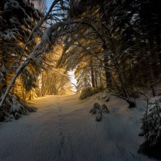 Winter path wallpaper