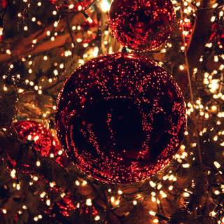 Christmas lights iPad wallpaper