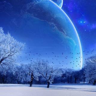 Full screen HD photo wallpaper