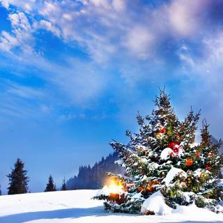 Christmas landscape wallpaper