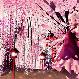 Anime Cherry Blossom couple Hd wallpaper
