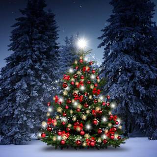 Merry Christmas night wallpaper