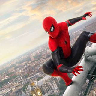 Spider Man Tom Holland HD wallpaper
