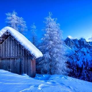 Splendor winter scene wallpaper