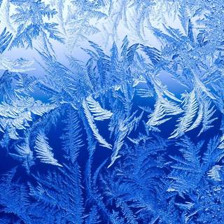 Frozen ice flowers window glass wallpaper