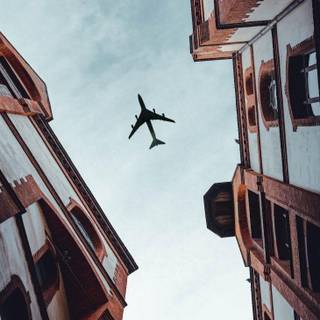 Kayla Nicole wallpaper