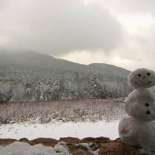 Snowman in wilderness wallpaper