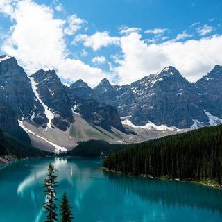 Nature iPhone wallpaper