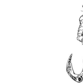 Diego Brando wallpaper