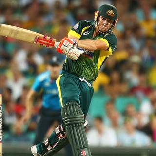 David Warner IPL wallpaper