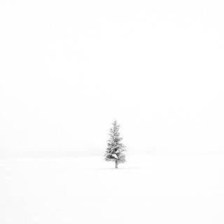 Winter minimalist wallpaper