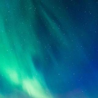 Mobile 1080x2340 wallpaper