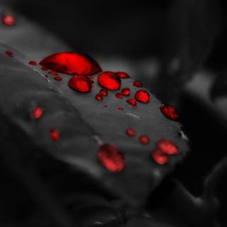 Black and red desktop wallpaper