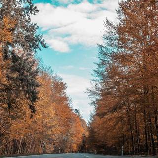 Ultra Hd iPhone 4k Full Hd wallpaper