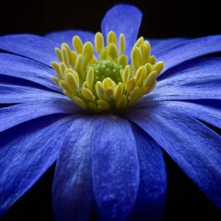 Panasonic mobile wallpaper