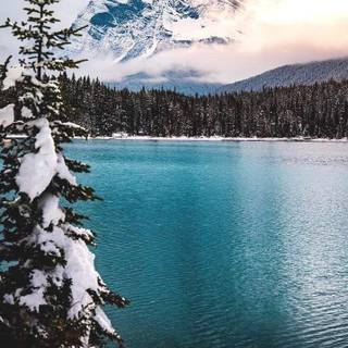 Winter lake wallpaper