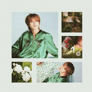 Joshua Seventeen aesthetic art wallpaper