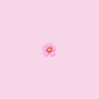 Pink VSCO wallpaper