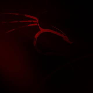 Kali Linux Android wallpaper