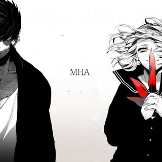 Toga desktop wallpaper