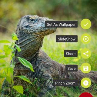 Android Komodo Island wallpaper