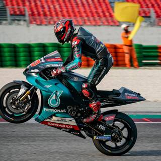 Quartararo wallpaper