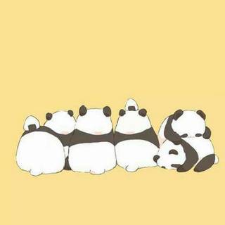 Phone panda wallpaper