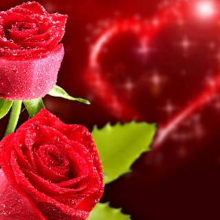 Valentines Day 2020 wallpaper