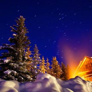 Cozy winter warm wallpaper