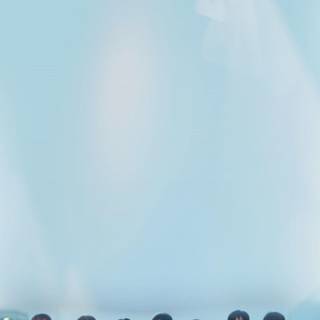 BTS Euphoria aesthetic wallpaper