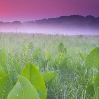 Wisconsin desktop wallpaper