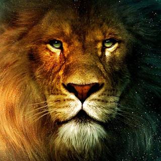 Lion 3D wallpaper