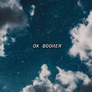 OK Boomer wallpaper