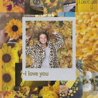 Now United wallpaper