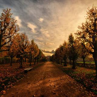 Evening in the park wallpaper