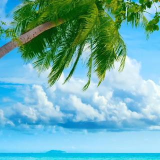 Mobile beach Hd wallpaper