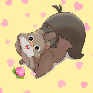 Skwovet HD wallpaper