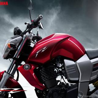 FZ bike wallpaper