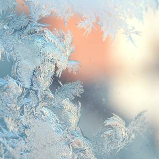 Winter window wallpaper