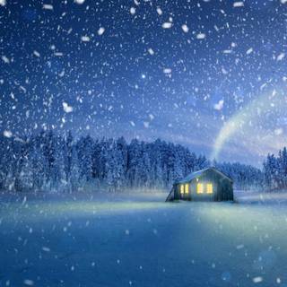 Magical winter wallpaper