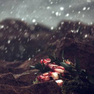 Hd love iPhone 6 Plus wallpaper