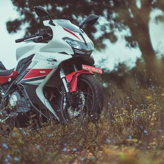 Benelli 302r wallpaper
