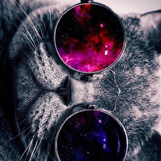 Phone cat sunglasses space wallpaper
