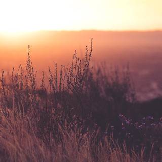 Relax a little wallpaper