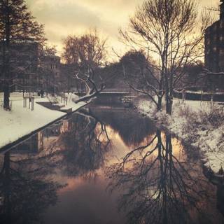 Winter reflections wallpaper