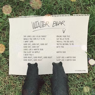 BTS V Winter Bear wallpaper