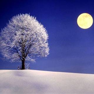 Full moon winter night wallpaper
