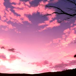 Pink anime wallpaper